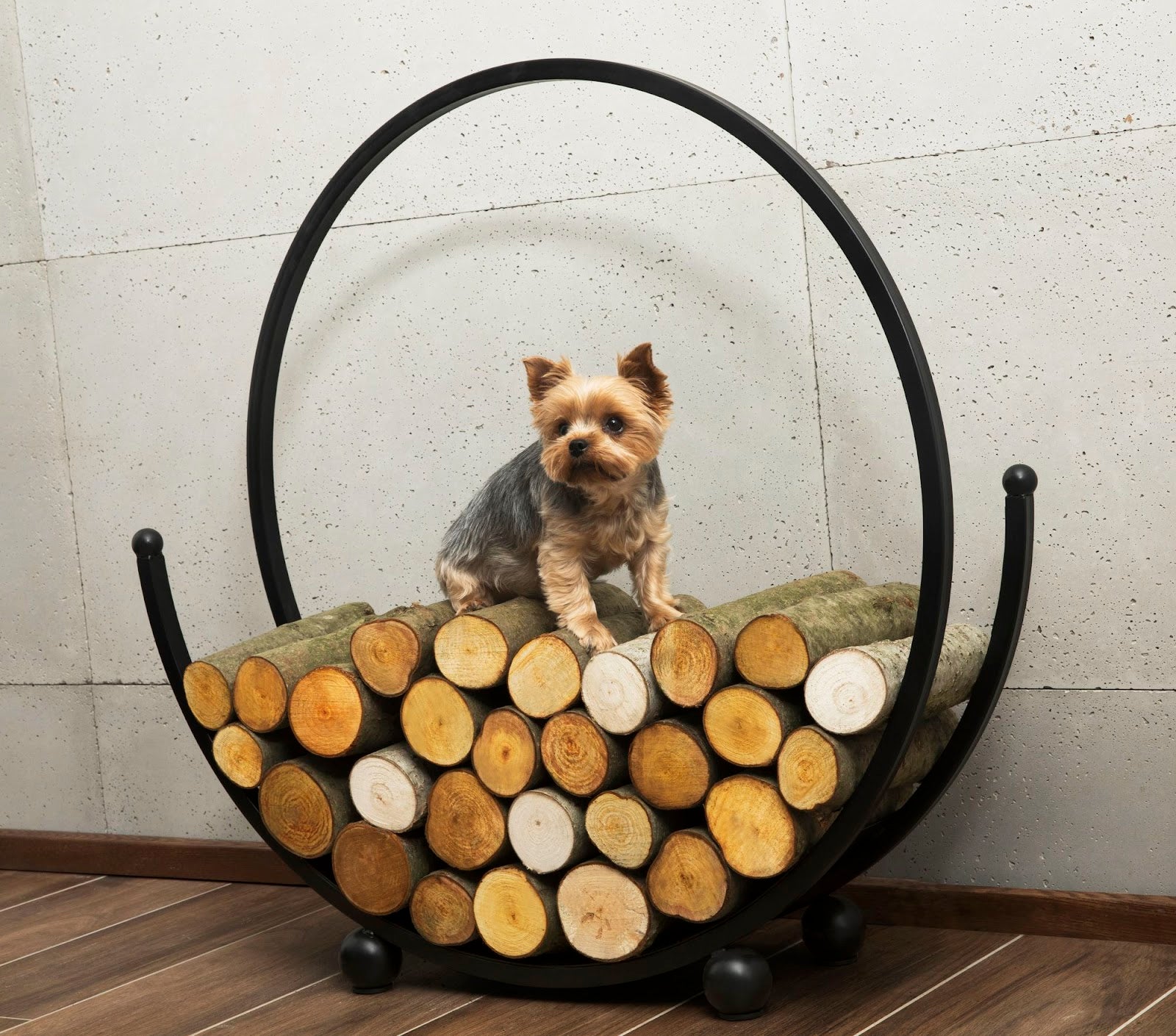 Cookking Kaminholzregal "SPIRAL" 80 cm
