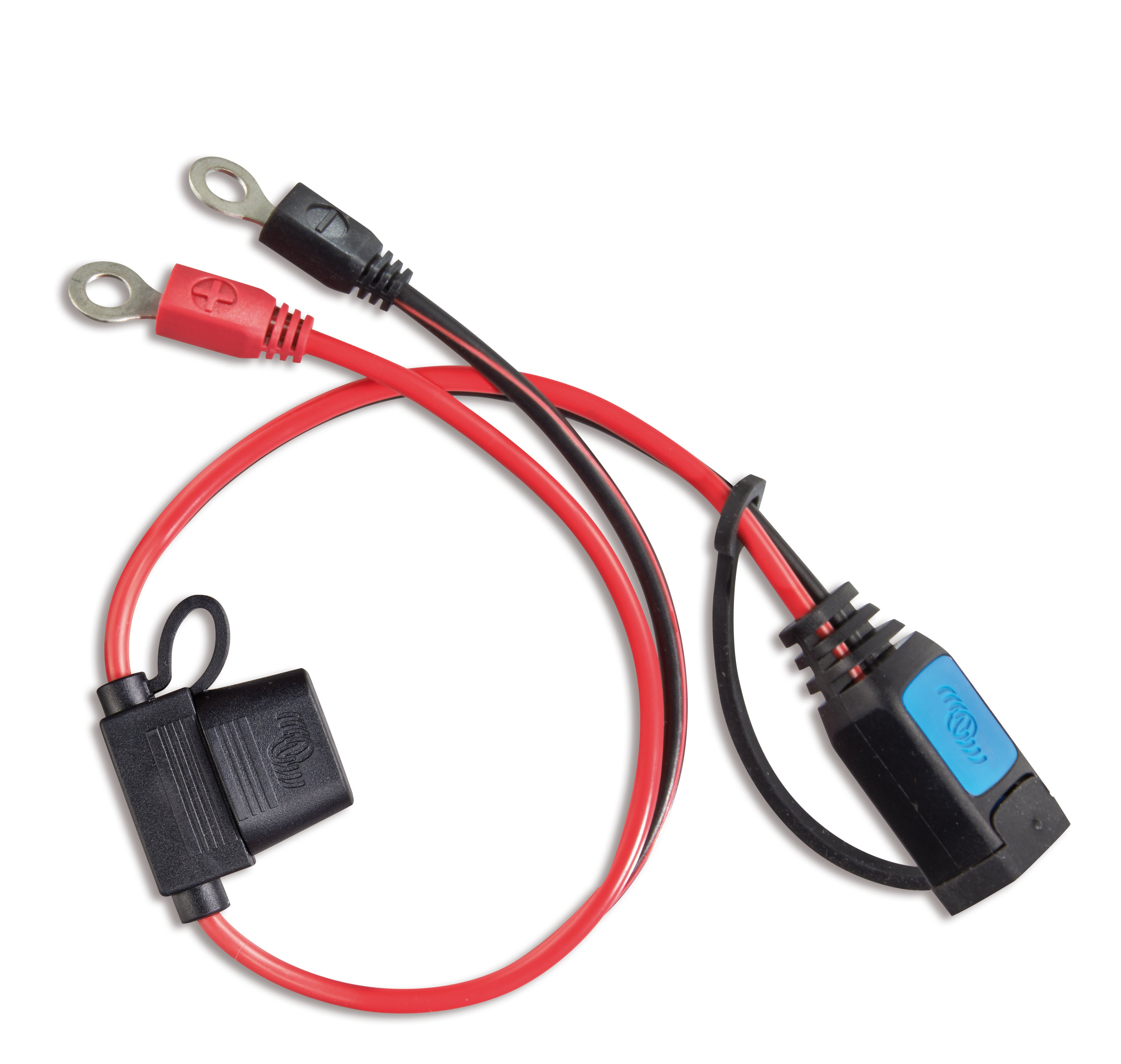 Connettore ad occhiello M6 (con fusibile ATO 30A)