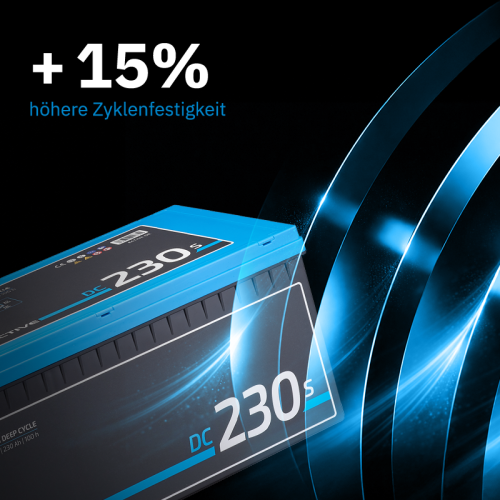 ECTIVE DC 230S AGM Deep Cycle mit LCD-Anzeige 230Ah Versorgungsbatterie